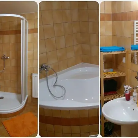 Holiday home Na Vysocine *